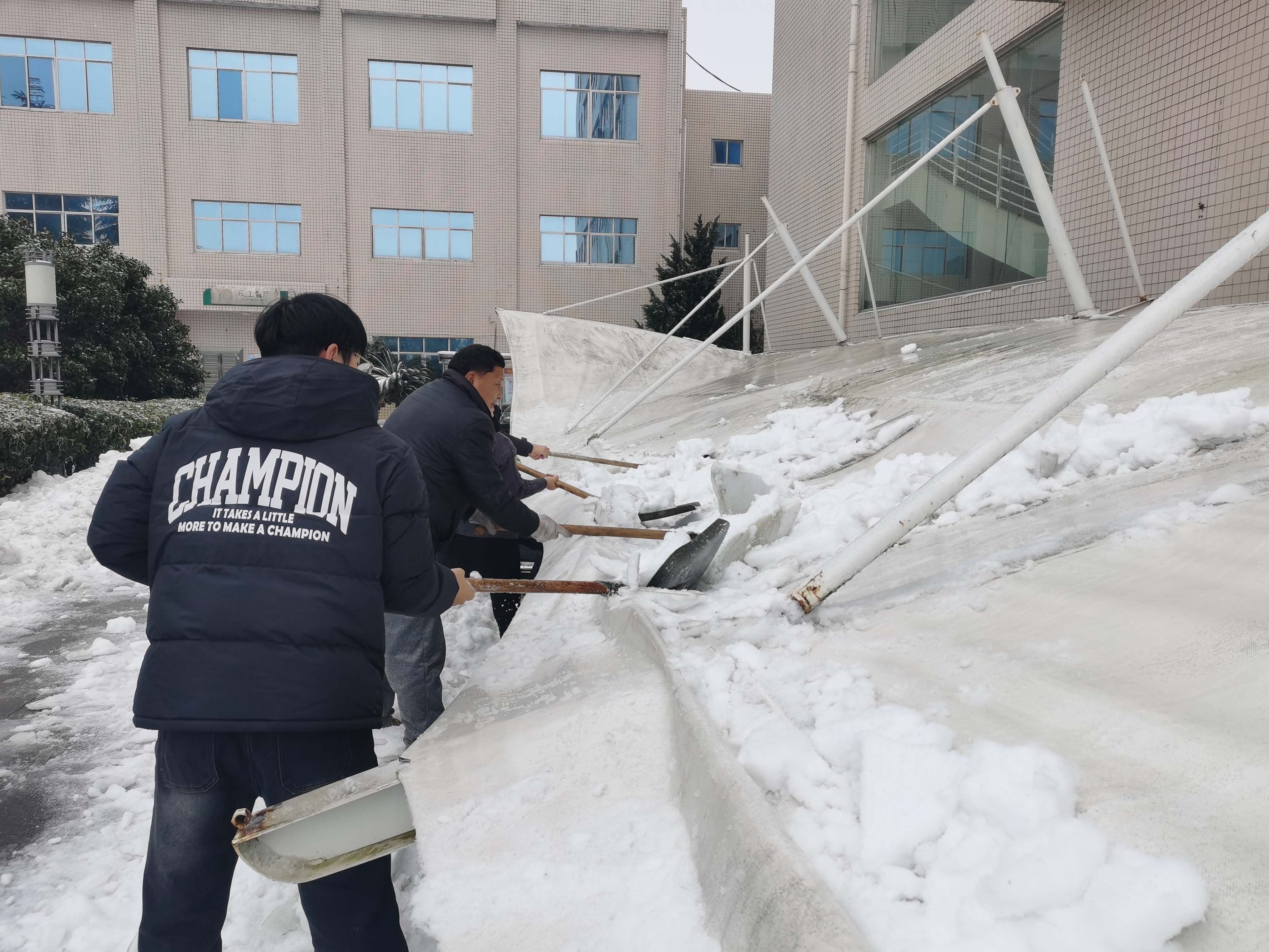 迎战冰雪 以动抗冻丨金健米业众志成城稳产保供应(图6)